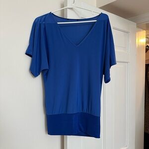 Express Royal Blue V-Neck Blouse